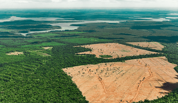 Ação Climática na Amazônia Brasileira