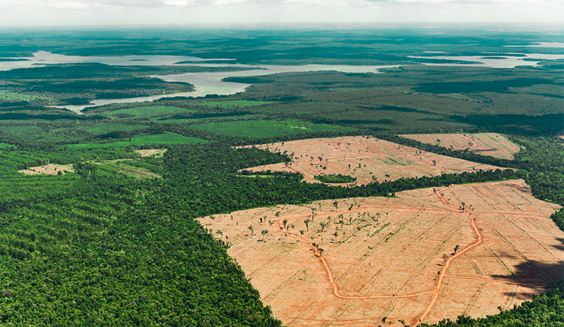 Amazon-Rainforest-Deforestation