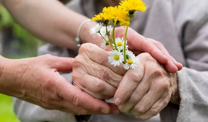 Care and Cure: Creating an Integrated Eldercare Center in The Netherlands