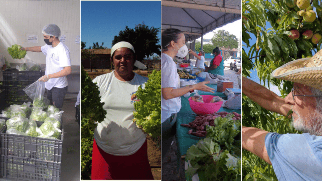 Colaborando para transformar os sistemas alimentares brasileiros