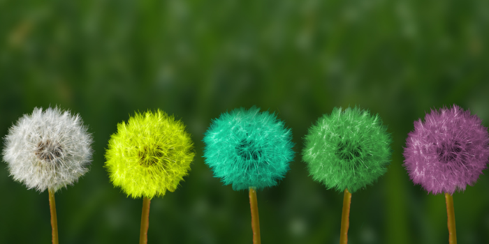 Building Trust for Transformative Collaboration: Lessons from the G20–B20 Process