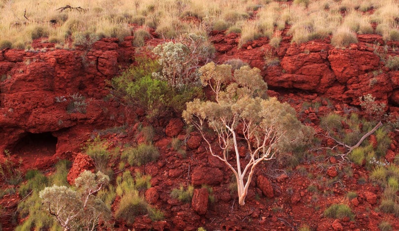 Moving beyond what is currently possible: creativity, risk taking, and a sense of “promisingness”