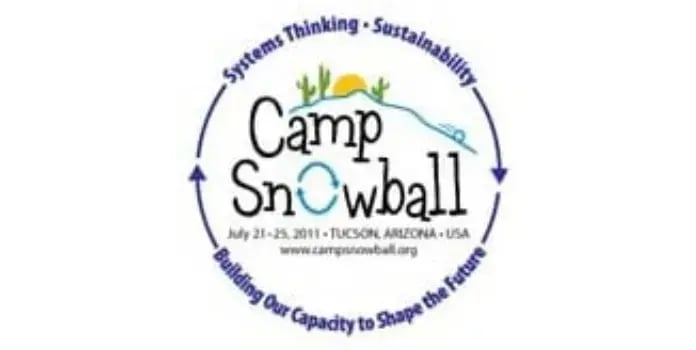 Camp Snowball—A Systemic Approach to Educational Improvement